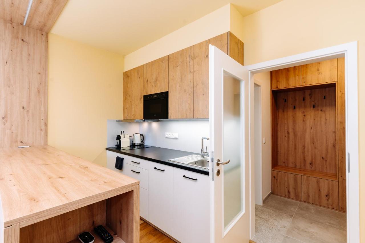Horsky Apartman Temari 11 Klinovec Loucna pod Klinovcem Exterior photo